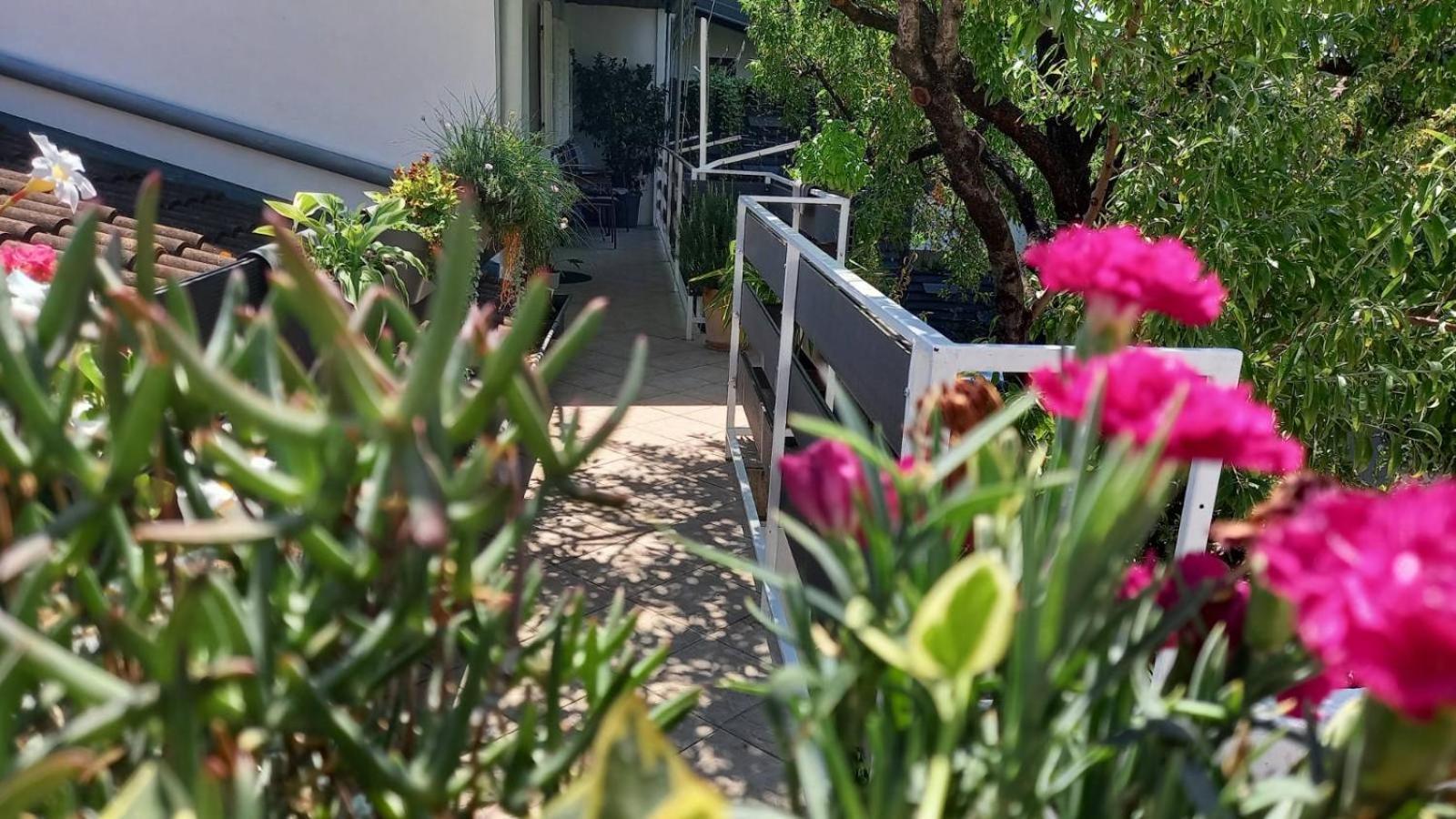 Felix Apartment Biograd Biograd Na Moru Bagian luar foto
